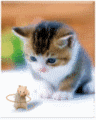 Thế giới của mèo qua tranh vẽ ... 3055695104